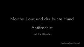 Martha Laux und der bunte Hund - Antifaschist (live @ Café Verde Magdeburg) by Martha Laux und der bunte Hund
